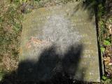 image of grave number 506173
